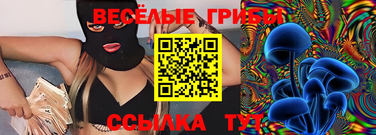 Псилоцибиновые грибы GOLDEN TEACHER Пыть-Ях