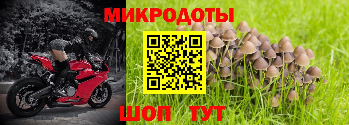 Пыть-Ях  Псилоцибиновые грибы Cubensis  наркотики  Вход с VPN 