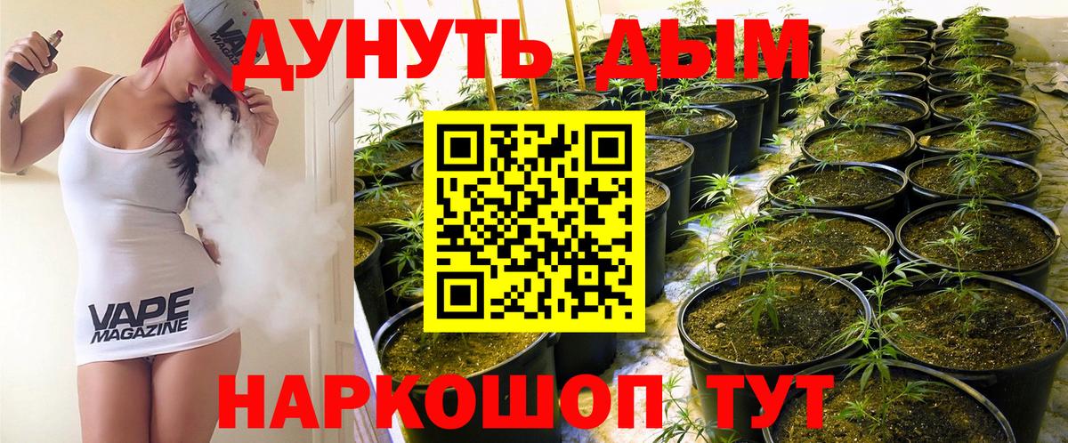 Бошки Шишки семена  Конопля White Widow  Марихуана сатива  Пыть-Ях  Вход с VPN 